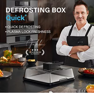 quick defrosting box