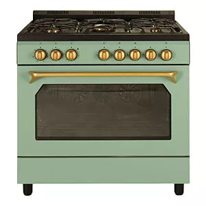 Freestanding Cooker