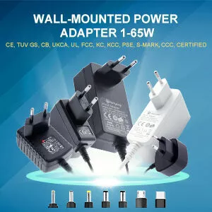 Wall-mounted power adapter 1-65W