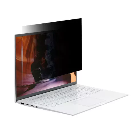 Privacy Protection Filter