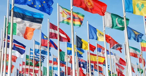 Global Market Access