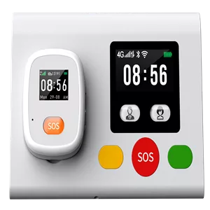 L04 Multi-Functional Telecare Console + M03