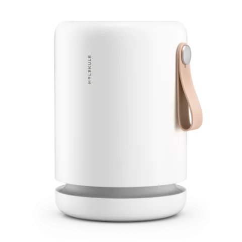 Molekule Air Mini +