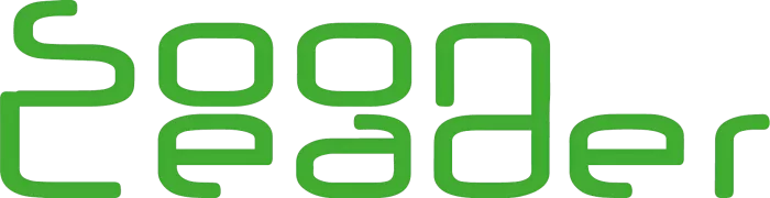 Dongguan Soonleader Electronics Co.,Ltd