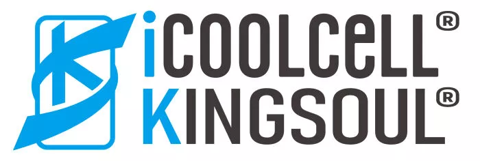 KINGSOUL TECH LIMITED