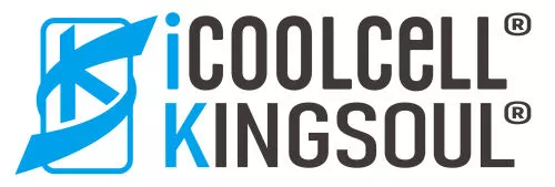 KINGSOUL TECH LIMITED