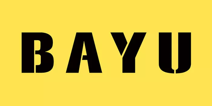 Hangzhou Baiyu Technology Co., Ltd.