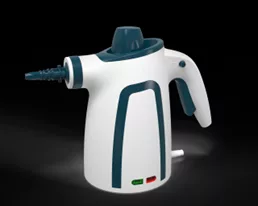 STEAM CLEANER