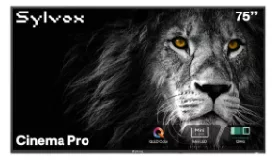 75" Cinema Pro Outdoor TV