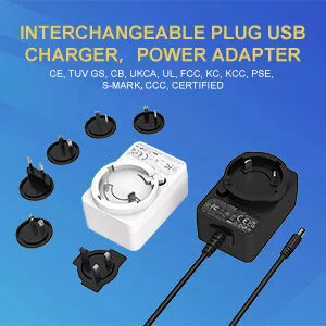 Interchangeable plug USB charger, power adapter