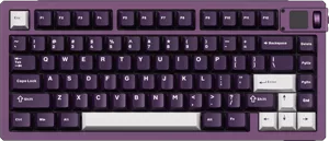 Akko MOD007B V5 HE Purple Obsidian