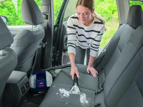 SpotClean Mini Cordless