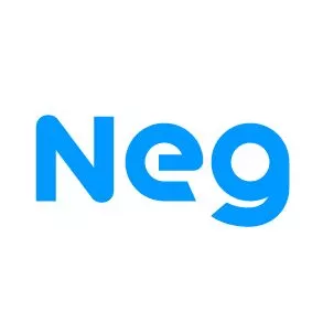 Nippon Electric Glass Co., Ltd.