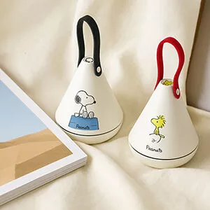 Portable electronic diffuser