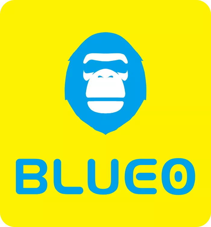 Shenzhen Blueo Innovation Technology Co., Ltd.