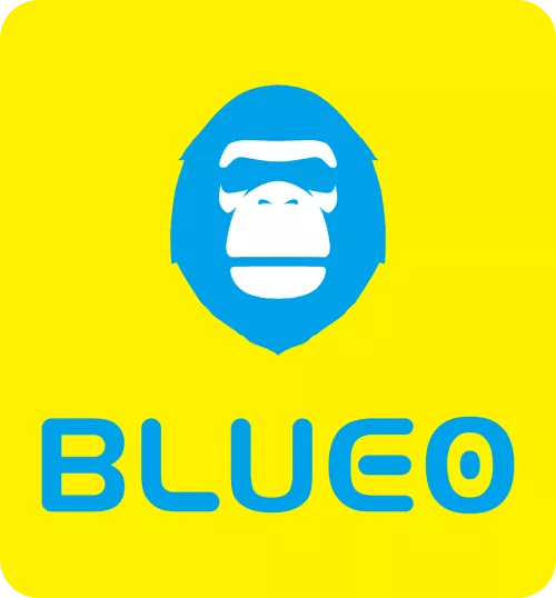 Shenzhen Blueo Innovation Technology Co., Ltd.