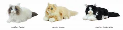 metaCat