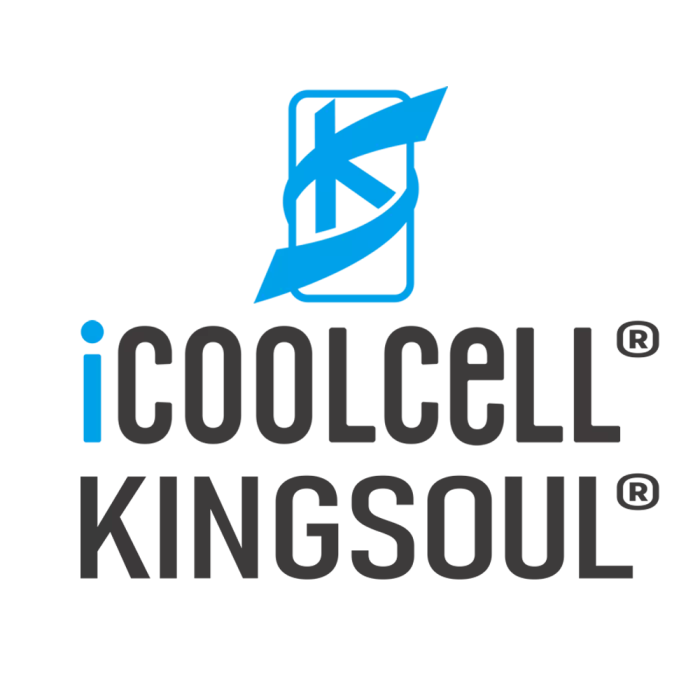 iCOOLCELL KINGSOUL
