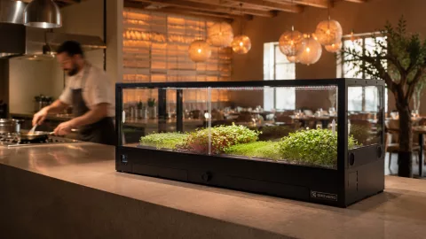 MiniGro Pro+