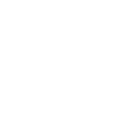 SHENZHEN TWO TREES TECHNOLOGY Co., Ltd.