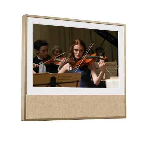 ARZOPA D16 Sound - 16 inch 2.5K Frame Sound