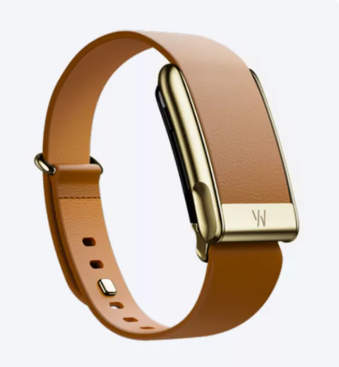 Whoop watch band