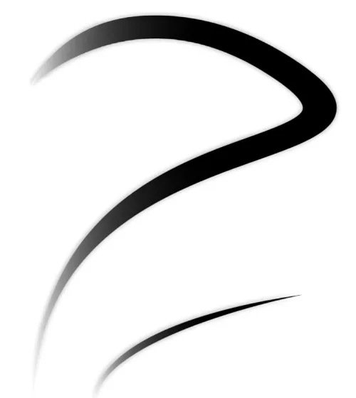 YSS BLUEHORIZON DYNAMICS LLC