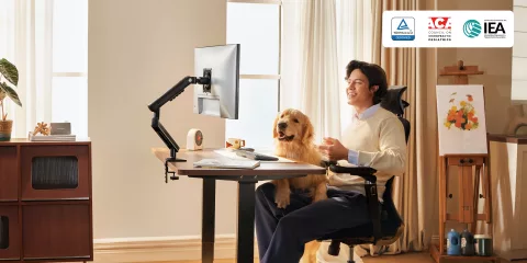 HUANUO FlowLift Pro Monitor Arm