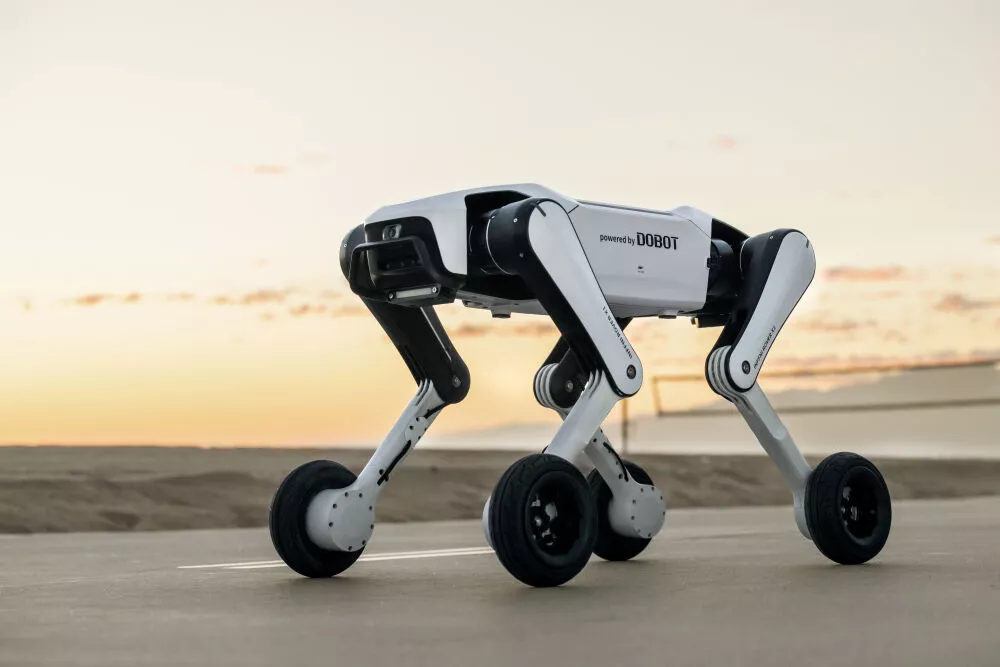 Robots on Stage!
