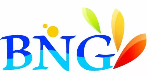 Jiangmen BNG Industrial Co., LTD