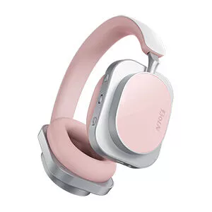 Hybrid ANC Headphones