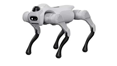 MagicDog T1