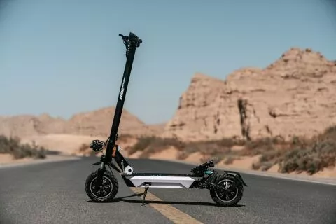 G4 10 inch electric scooter