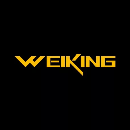 W-KING