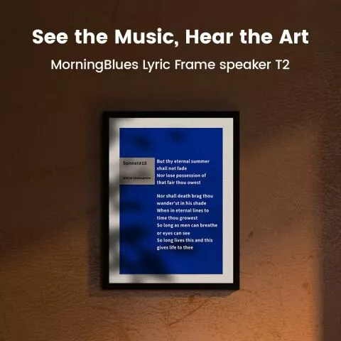 MorningBlues T2 Lyric Frame Speaker