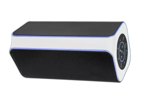 SPEAKER