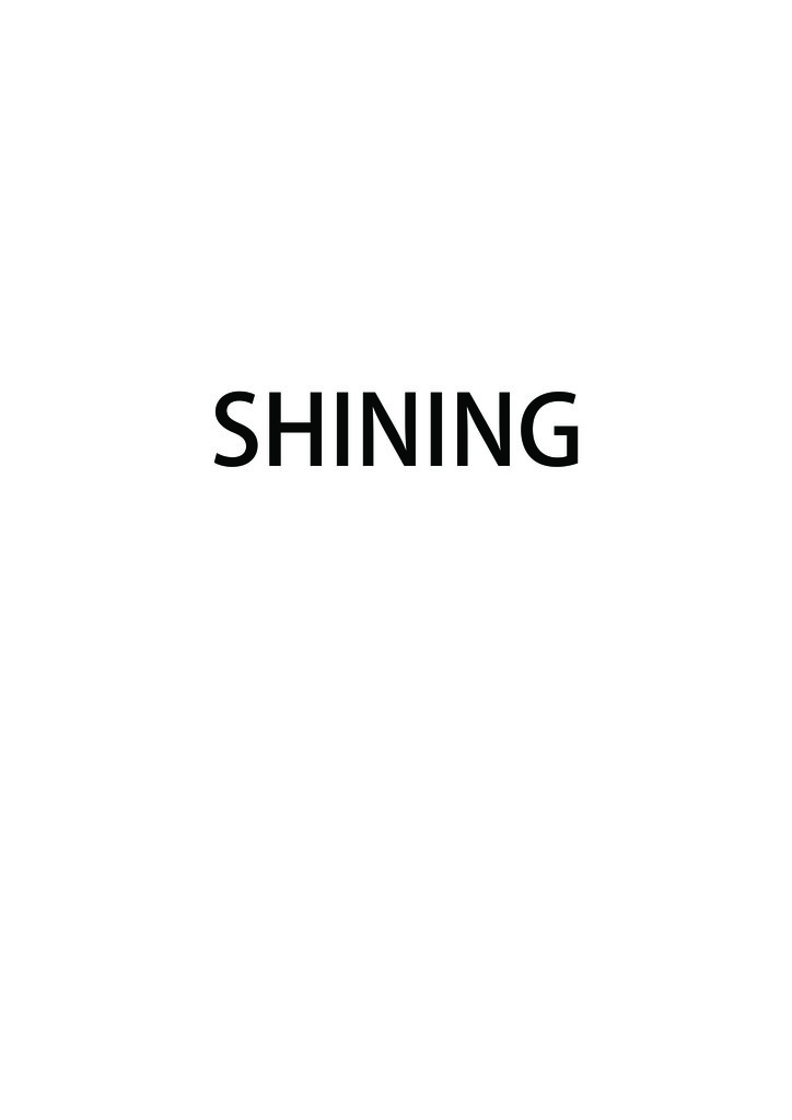 NINGBO SHINING INTERNATIONAL TRADE CO.,LTD.