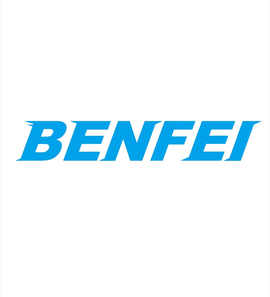 BENFEI Technology GmbH GmbH