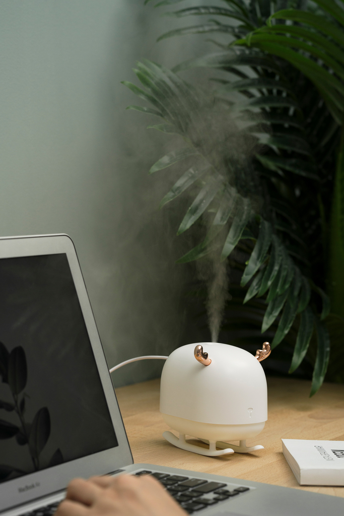 Deer Humidifier & Light