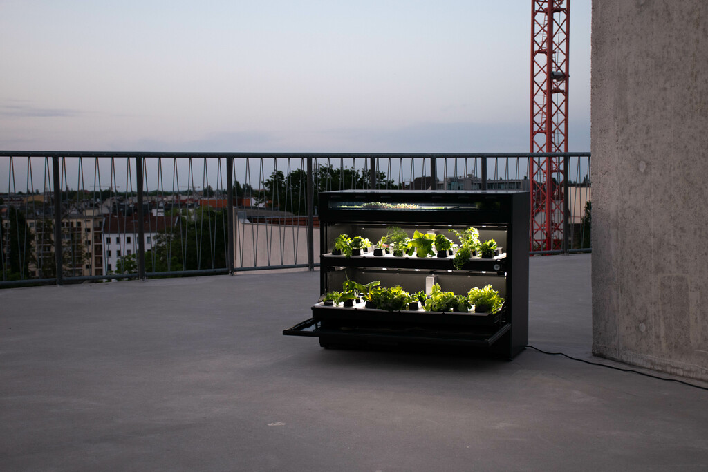 Our Greenery GmbH