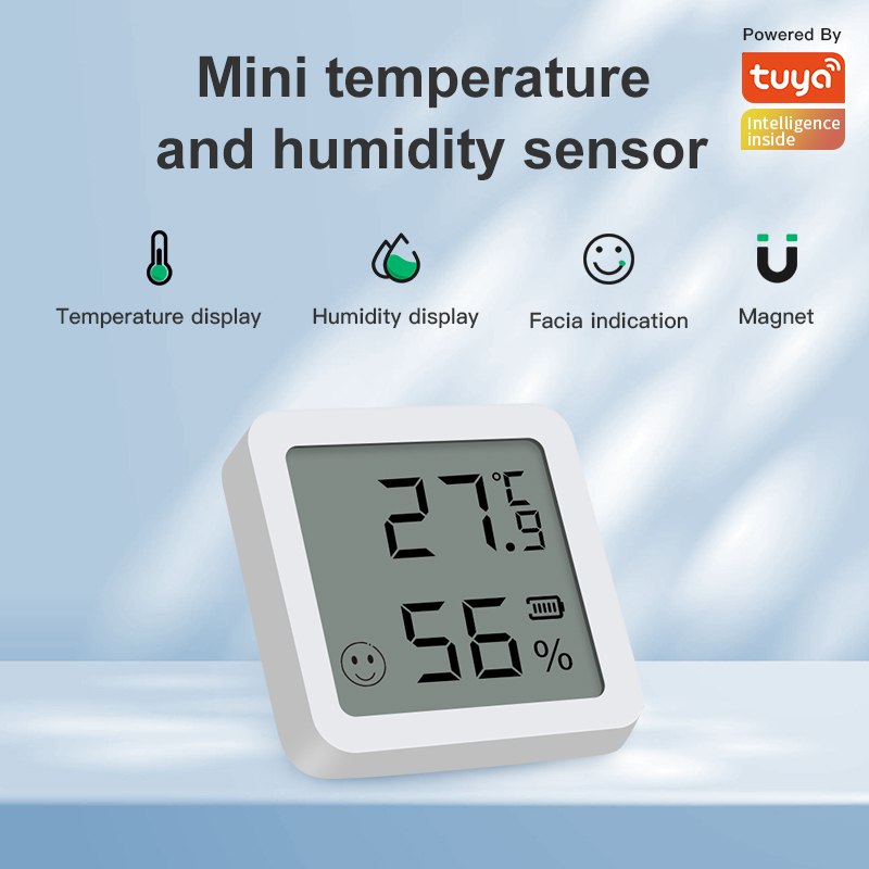 Bluetooth Thermometer Hygrometer