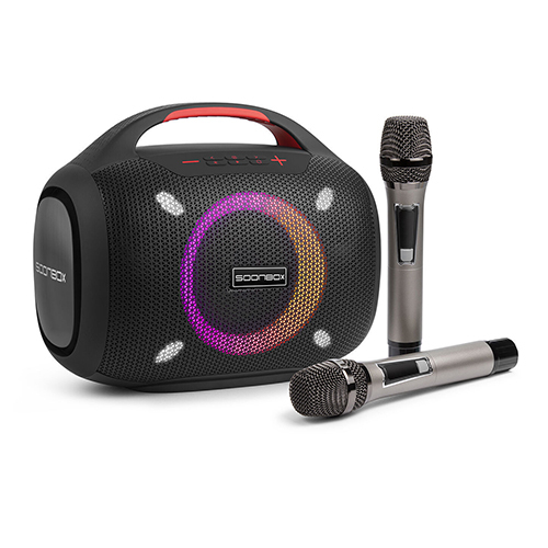 Karaoke Sound Family KTV High Quality Sound Kit Integrated Wireless  Microphone Live Card Karaoke Speaker 2023 HO - AliExpress