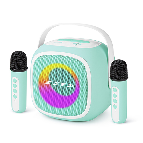 Portable Bluetooth Karaoke Speaker with 2 Wireless Microphones and Dynamic Lights for Kids Adults, Ideal Gifts for Girls Boys Home Party