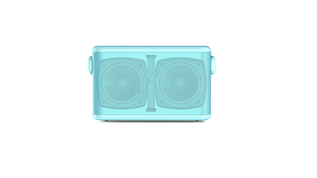 80W Gift Karaoke Wireless Speaker
