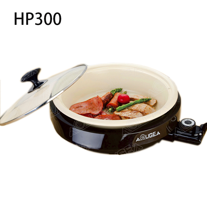 Mini Electric Pot For 1-2 Person HP300