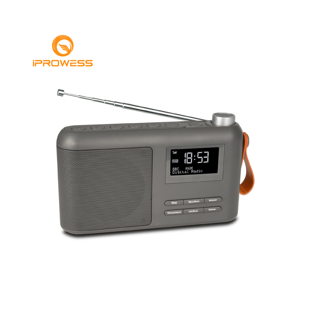 DAB+ Radio with Bluetooth Speaker