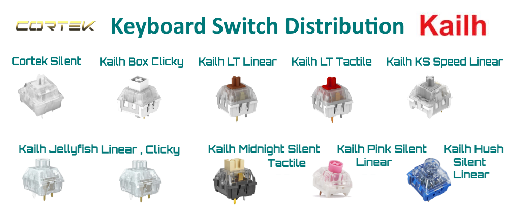KEYBOARD SWITCHES